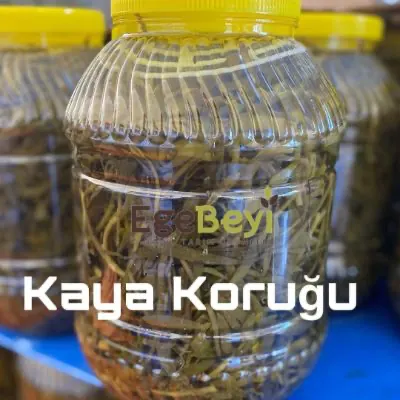 Kavanozda kaya koruğu turşusu